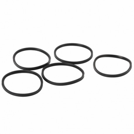 Guarnizione d.100mm (x5) (X 5) - DE DIETRICH CHAPPEE : S101643