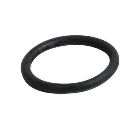 Guarnizione anello - RIELLO : 4365860