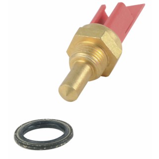 Sonda sanitaria (X 5) - RIELLO : 4366451