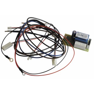 Scheda elettronica per anodo - CHAFFOTEAUX : 925348-01
