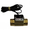 Flussostato mm1"