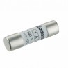 Fusibile 10A GG 10x38 (X 10)