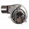 Estrattore natalini 50w pl21 flang.80mm - DIFF