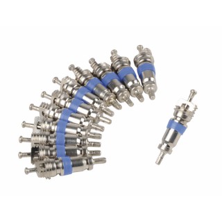 Ricambio microvalvola  (X 12)