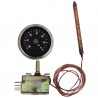 Termostato regolazione acqua a bulbo Standard AB 200