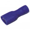 Terminale PTFE femmina isolato Ø 6.35  (X 50)