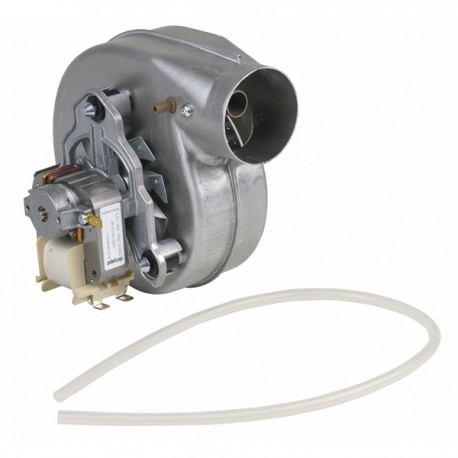 Estrattore COMPACT/MICRO/NE60PROJE - FERROLI : 39817550