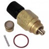 Rubinetto carico  - DIFF per Saunier Duval : 05174600