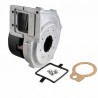 Ventilatore ECOBLOCK PRO-PLUS - VAILLANT : 193593