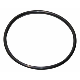 Guarnizione 120,02x6,99-n - GEMINOX : 87185725380
