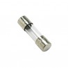 Fusibile T2 5A (X 10) - DIFF per Viessmann : 7404396