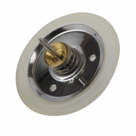 Gruppo membrana V33 RIMB0005 - SIME : 6153101A