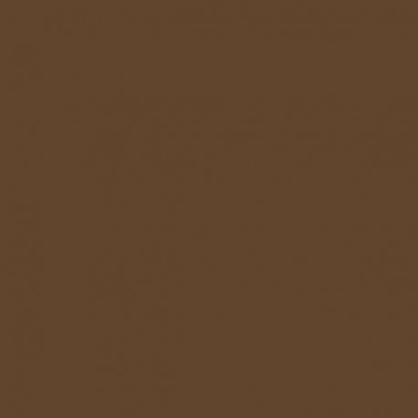 Piastra di otturazione POVM quercia dorata (X 10) - ANJOS : 0155CD
