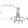 Valvola a sfera MF con maniglia allungata PN 40 3/8" - DIMPEXP : 1356-38