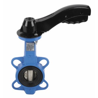 Valvola a farfalla con orecchie di centraggio d100 - DIFF