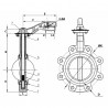 Valvola a farfalla con orecchie filettate d125