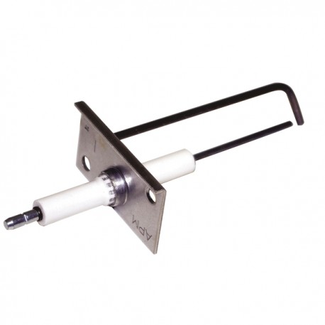 Elettrodo rilevazione WTG14/34  - DIFF per Weishaupt : 45021030107