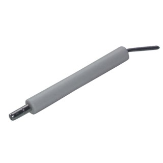 Elettrodo specifico ABF 10 (X 2) - DIFF per Bentone : 11593701