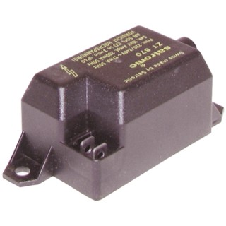 Trasformatore di accensione E3713 - ELSTER SAS : 708637