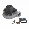 Ventilatore rg148/1200-3633 - DE DIETRICH CHAPPEE : S101726