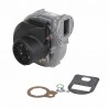 Ventilatore rg148/1200-3633 - DE DIETRICH CHAPPEE : S101726