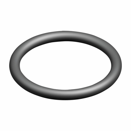 Anello tenuta  (X 5) - ELM LEBLANC : 87167622050