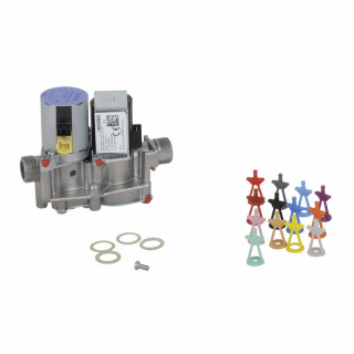 Gruppo gas  - VAILLANT : 0020019992
