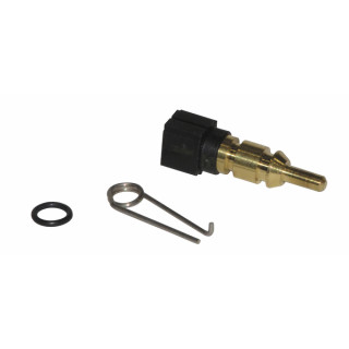 Sonda temperatura - DIFF per ELM Leblanc : 87145000810