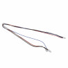 Cablaggio valvola gas - CHAFFOTEAUX : 65116580